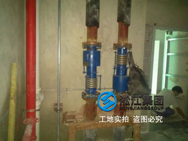 【橫琴總部大廈項目】采用樱桃视频污在线看內外壓平衡波紋補償器